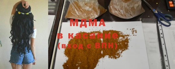 индика Вяземский