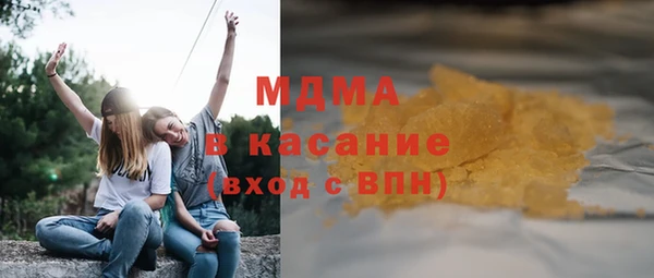 индика Вяземский